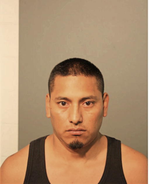 MIGUEL YANEZ-RIVAS, Cook County, Illinois