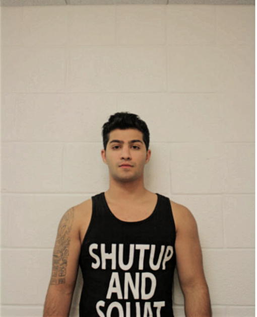HAMADI K ALI, Cook County, Illinois