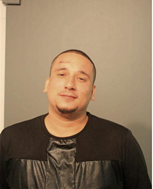 ANIBAL ARROYO, Cook County, Illinois