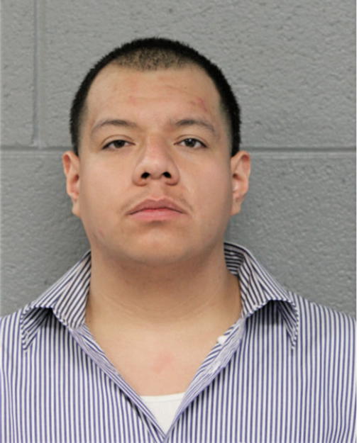 SERGIO ESTUPINAN, Cook County, Illinois