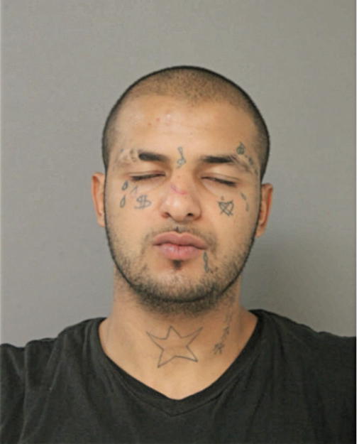 AYOUB FARDOUSSI, Cook County, Illinois