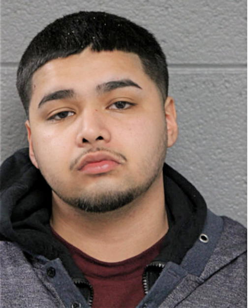 PALACIOS FLORES, Cook County, Illinois