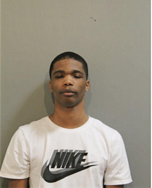 ADOLPHUS T FORD, Cook County, Illinois