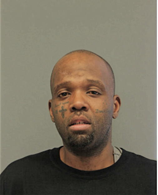 TERRANCE L FRIESON, Cook County, Illinois