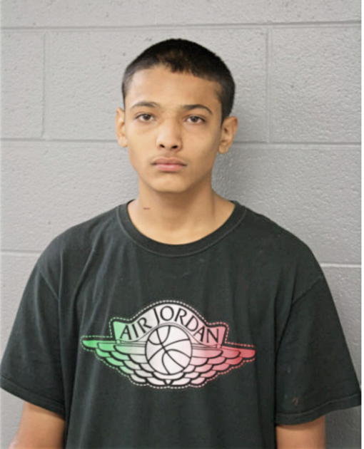 SALVADOR V GOLLAZ, Cook County, Illinois