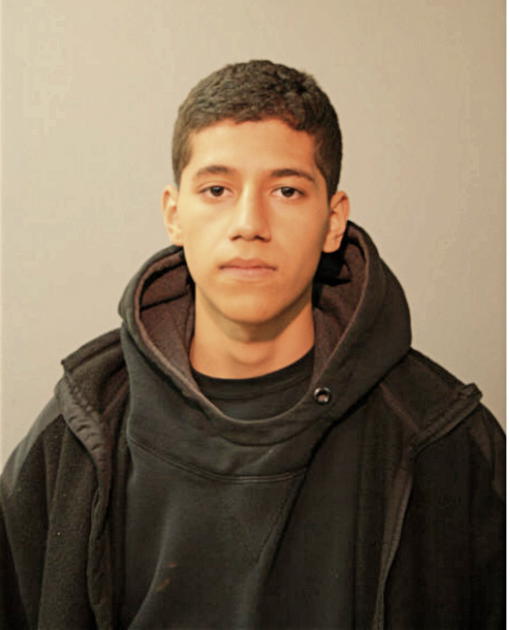 MANUEL A GONZALEZ, Cook County, Illinois