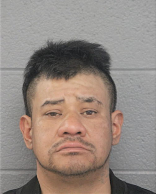 VICTOR M GONZALEZ, Cook County, Illinois
