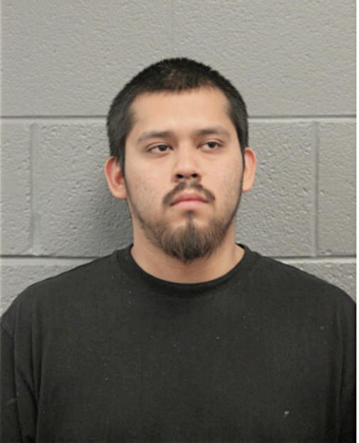 ALEJANDRO GUZMAN, Cook County, Illinois