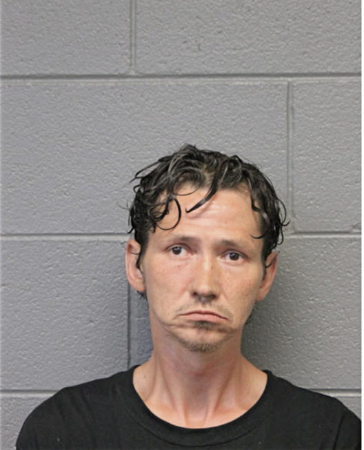 RAYMOND C HAMILTON, Cook County, Illinois