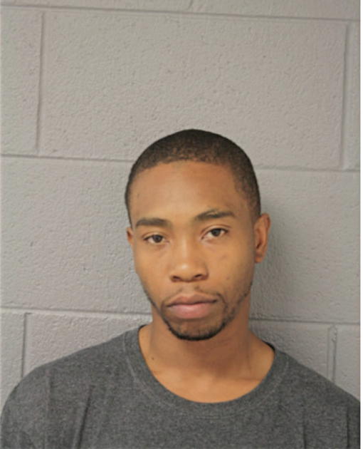 DAMEON JOHNSON, Cook County, Illinois