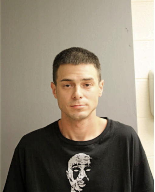 WILLIAM M LORENZ, Cook County, Illinois