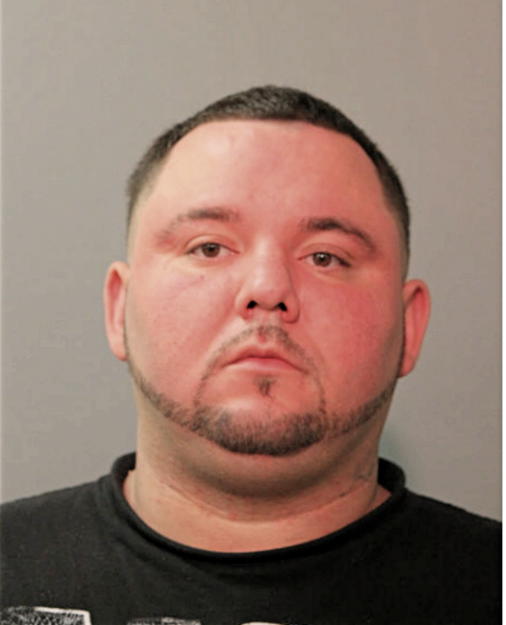 MICHAEL A LOZADA, Cook County, Illinois