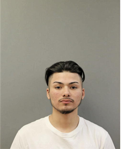 DAVID LUIS, Cook County, Illinois