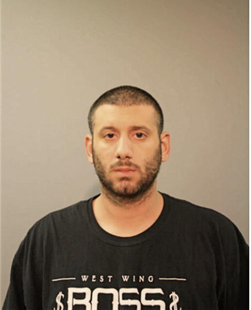 MATTHEW J MARKESE, Cook County, Illinois