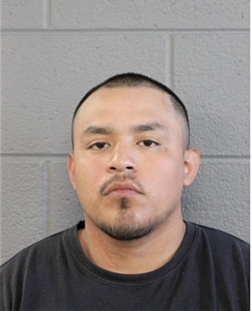 ALBERTO MARTINEZ, Cook County, Illinois