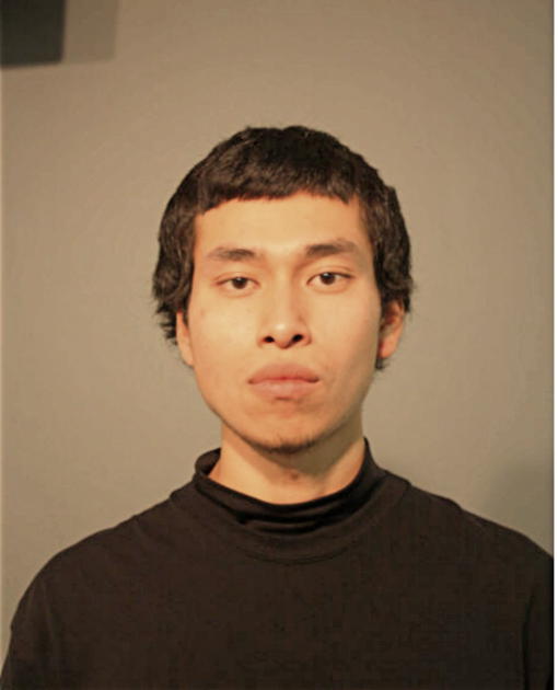 JOSE E MELENDEZ, Cook County, Illinois