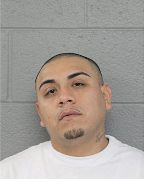 VICTOR S OCHOA, Cook County, Illinois