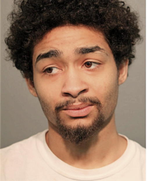 DERRICK M PATRICK, Cook County, Illinois