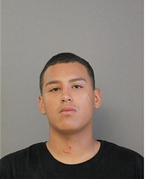 SERGIO A PEREZ, Cook County, Illinois