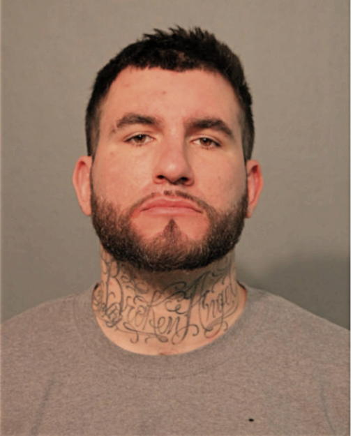 MICHAEL J PIETRANDONI, Cook County, Illinois