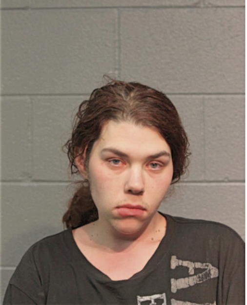 MEAGHANN B POTTER, Cook County, Illinois