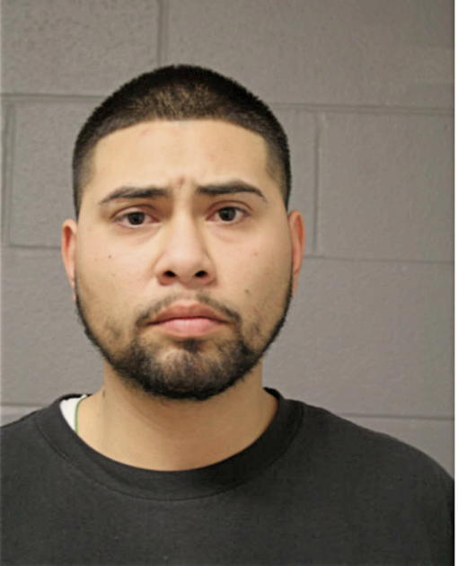 ERIC S RAMIREZ-MONCADA, Cook County, Illinois