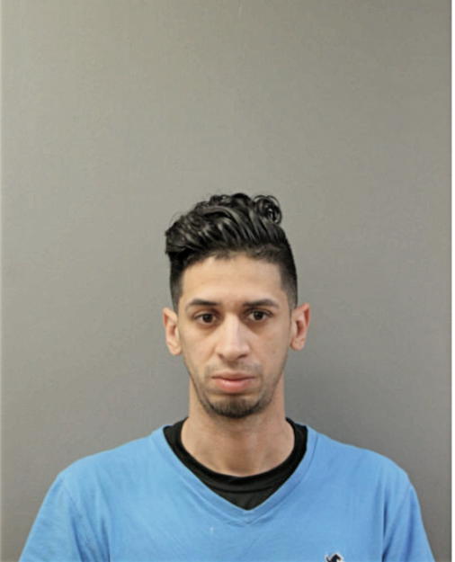 RAYMOND J RIVERA, Cook County, Illinois