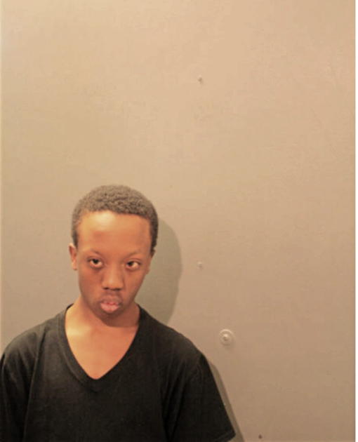 DAVID L ROBINSON, Cook County, Illinois