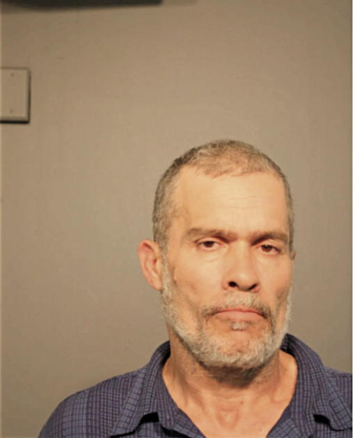 CARLOS A RUIZ, Cook County, Illinois