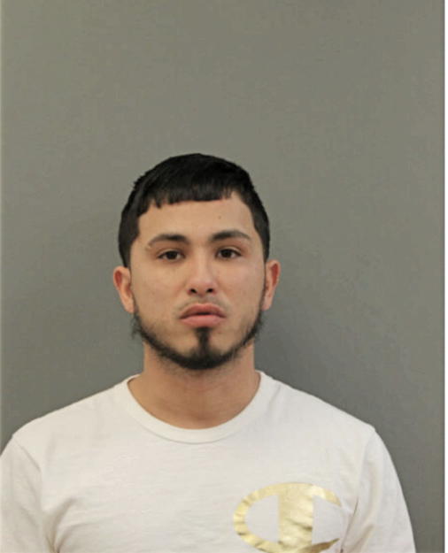 XAVIER SANTANA, Cook County, Illinois