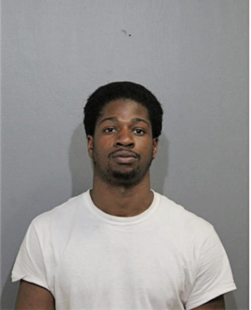 RAYMOND J SIMMONS, Cook County, Illinois