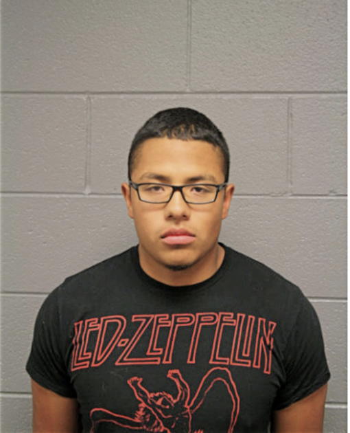 FERNANDO I VILLANUEVA, Cook County, Illinois