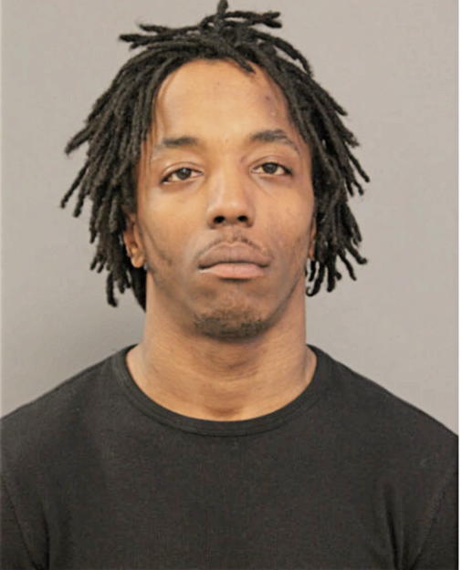 BRIAN T WILLIAMS, Cook County, Illinois