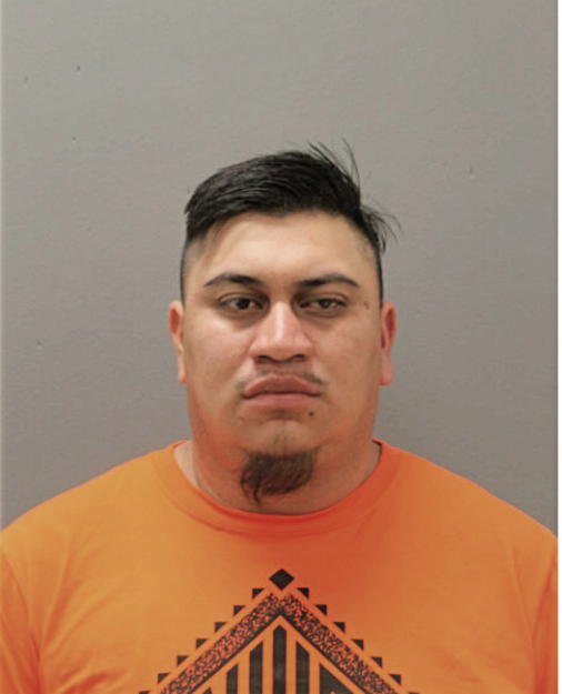 JULIO I ANDRADE-PIZARRO, Cook County, Illinois
