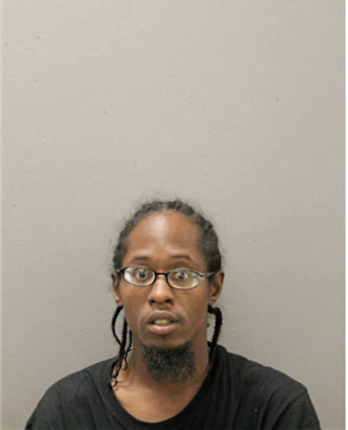 ADAM D BERGMAN, Cook County, Illinois