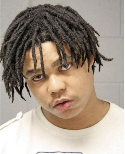 LEROY R COOK, Cook County, Illinois