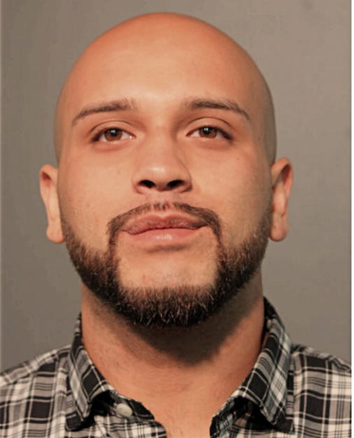 SHAWN A CRUZ, Cook County, Illinois