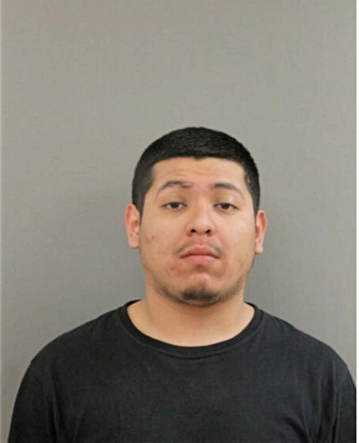 MIGUEL A DIAZ, Cook County, Illinois