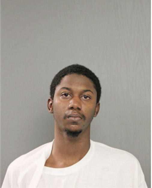 MICHAEL J DOSS, Cook County, Illinois