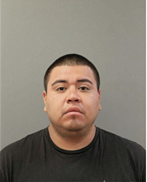 DANIEL CRUZ FLORES, Cook County, Illinois
