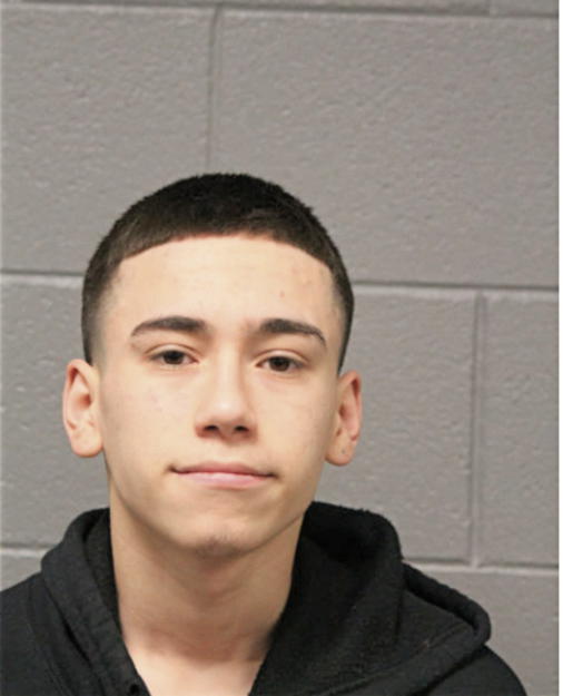 EDUARDO FLORES, Cook County, Illinois