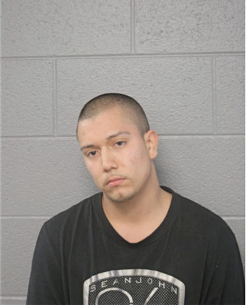 GUSTAVO GONZALEZ, Cook County, Illinois