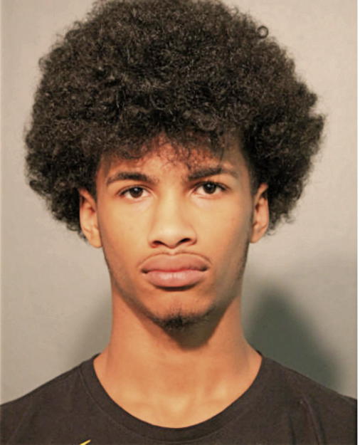 TRENTON HUNT, Cook County, Illinois