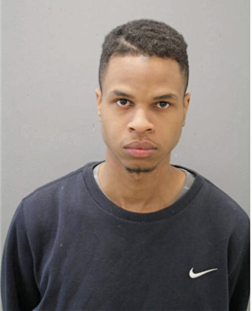 DENIKKO J JOHNSON, Cook County, Illinois