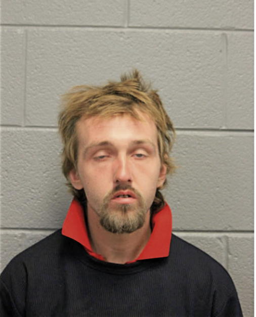 STEVEN A LESSON, Cook County, Illinois