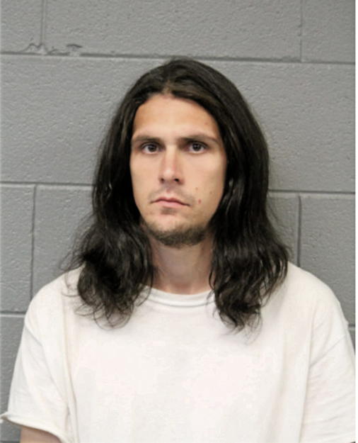 MICHAEL D MCCRAY, Cook County, Illinois