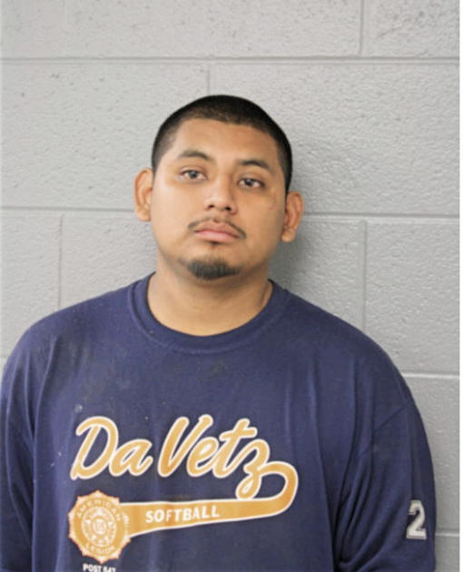 MARCO A MOALES, Cook County, Illinois