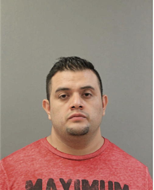 IRVING G MONROY, Cook County, Illinois