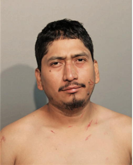 MOISES MORALES, Cook County, Illinois