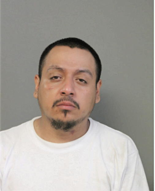 JOE A MOYA, Cook County, Illinois